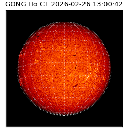gong - 2026-02-26T13:00:42