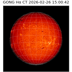 gong - 2026-02-26T15:00:42