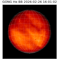 gong - 2026-02-26T16:01:02
