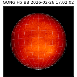 gong - 2026-02-26T17:02:02