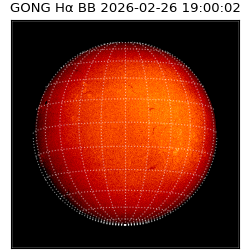 gong - 2026-02-26T19:00:02