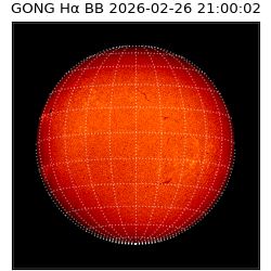 gong - 2026-02-26T21:00:02