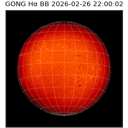 gong - 2026-02-26T22:00:02