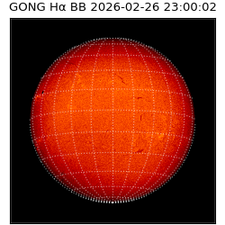 gong - 2026-02-26T23:00:02