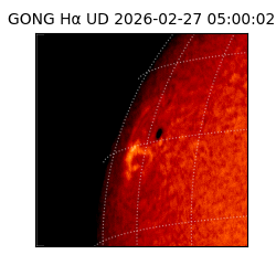 gong - 2026-02-27T05:00:02