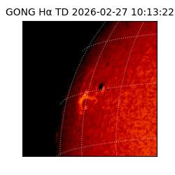 gong - 2026-02-27T10:13:22