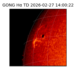 gong - 2026-02-27T14:00:22