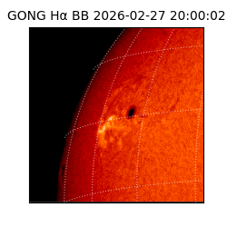 gong - 2026-02-27T20:00:02