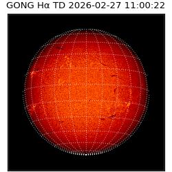 gong - 2026-02-27T11:00:22