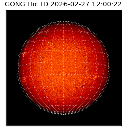 gong - 2026-02-27T12:00:22