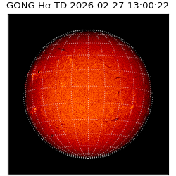 gong - 2026-02-27T13:00:22