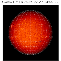 gong - 2026-02-27T14:00:22