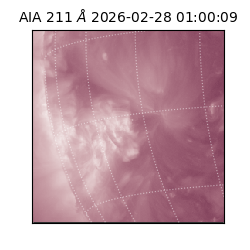 saia - 2026-02-28T01:00:09.631000