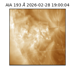 saia - 2026-02-28T19:00:04.835000