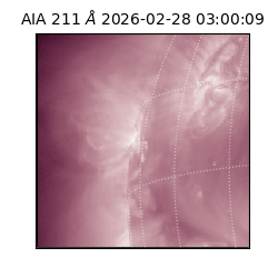 saia - 2026-02-28T03:00:09.632000