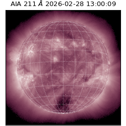 saia - 2026-02-28T13:00:09.626000