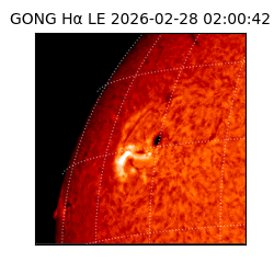 gong - 2026-02-28T02:00:42