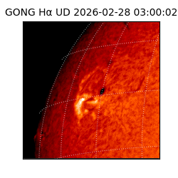 gong - 2026-02-28T03:00:02