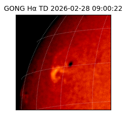 gong - 2026-02-28T09:00:22