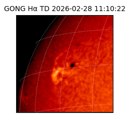 gong - 2026-02-28T11:10:22