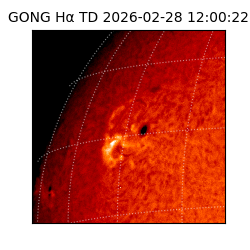 gong - 2026-02-28T12:00:22