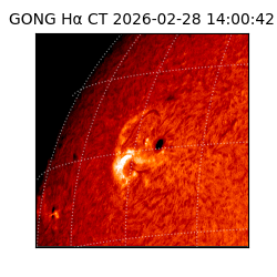 gong - 2026-02-28T14:00:42