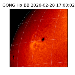 gong - 2026-02-28T17:00:02