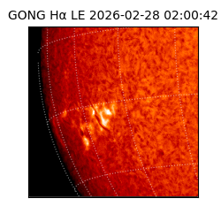 gong - 2026-02-28T02:00:42