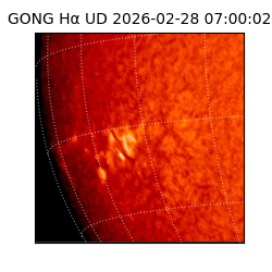 gong - 2026-02-28T07:00:02