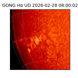 gong - 2026-02-28T08:00:02