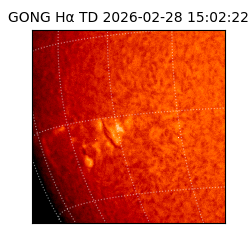 gong - 2026-02-28T15:02:22