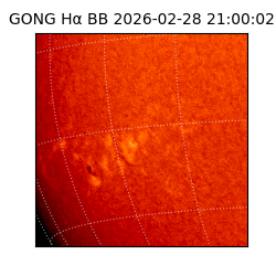 gong - 2026-02-28T21:00:02