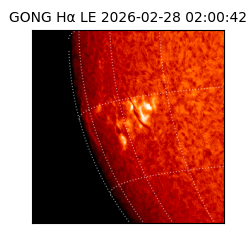 gong - 2026-02-28T02:00:42