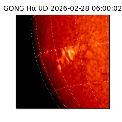 gong - 2026-02-28T06:00:02