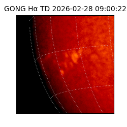 gong - 2026-02-28T09:00:22