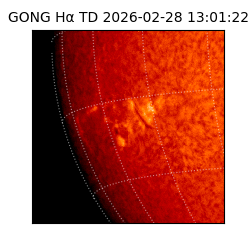 gong - 2026-02-28T13:01:22