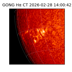gong - 2026-02-28T14:00:42