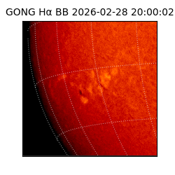 gong - 2026-02-28T20:00:02