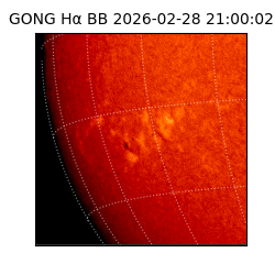 gong - 2026-02-28T21:00:02