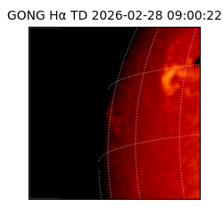 gong - 2026-02-28T09:00:22