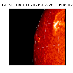 gong - 2026-02-28T10:08:02