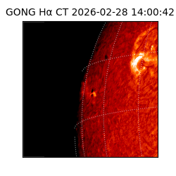 gong - 2026-02-28T14:00:42