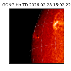 gong - 2026-02-28T15:02:22