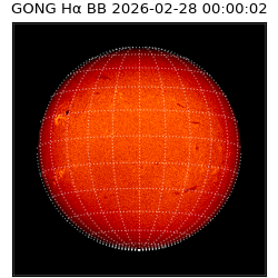 gong - 2026-02-28T00:00:02
