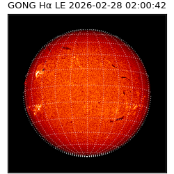 gong - 2026-02-28T02:00:42