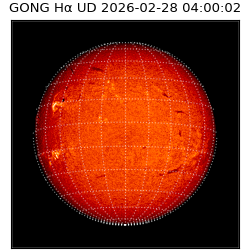 gong - 2026-02-28T04:00:02