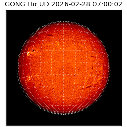 gong - 2026-02-28T07:00:02