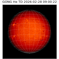 gong - 2026-02-28T09:00:22