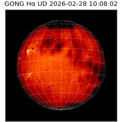 gong - 2026-02-28T10:08:02