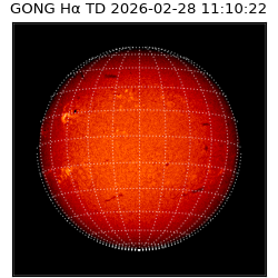 gong - 2026-02-28T11:10:22